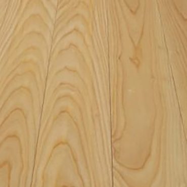Sàn gỗ ASH (tần bì) bản lớn (Solid)
