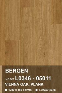 Sàn gỗ Pergo Bergen 05011