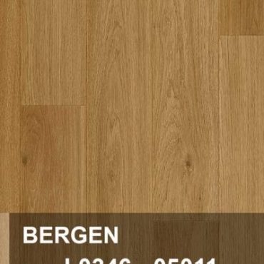 Sàn gỗ Pergo Bergen 05011